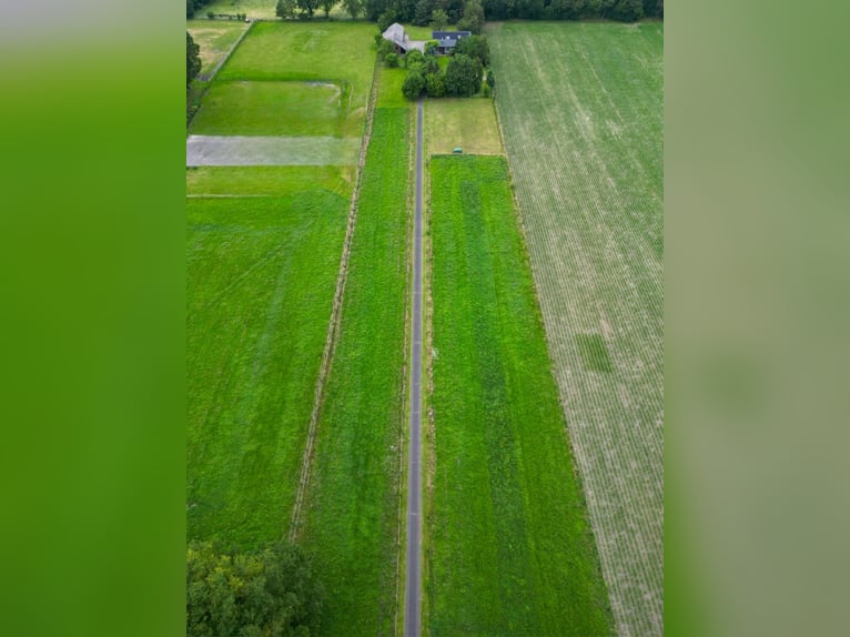 Grande maison de campagne avec élevage de chevaux, manège et un magnifique parc-jardin en situation