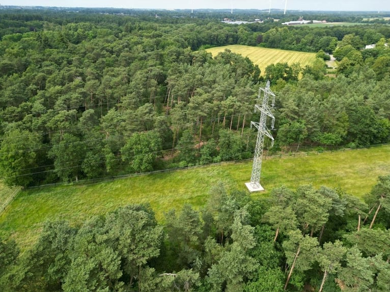 Grande maison de campagne avec élevage de chevaux, manège et un magnifique parc-jardin en situation