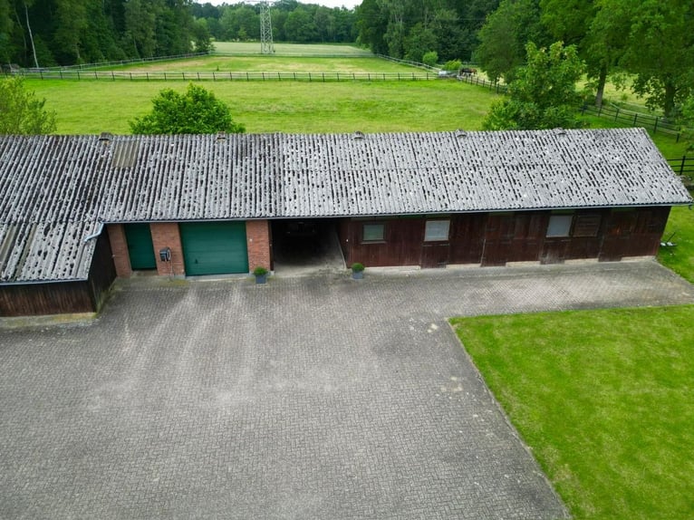 Grande maison de campagne avec élevage de chevaux, manège et un magnifique parc-jardin en situation