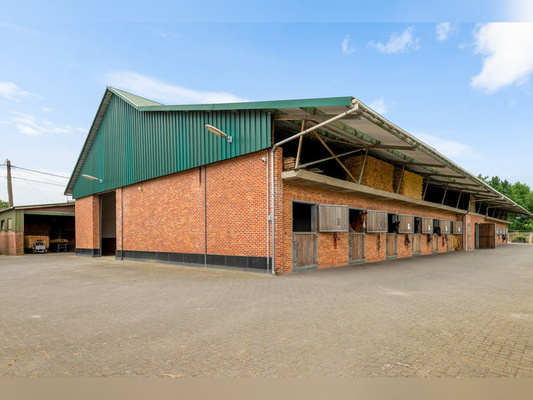 Hippisch complex met binnen- en buitenpiste