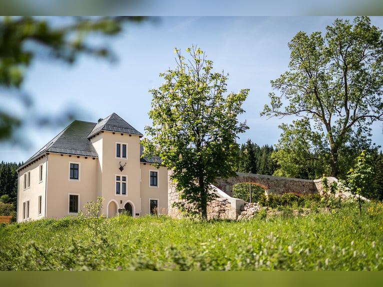 Historisches Villenanwesen im Erzgebirge – Absolute Alleinlage in traumhafter Natur!