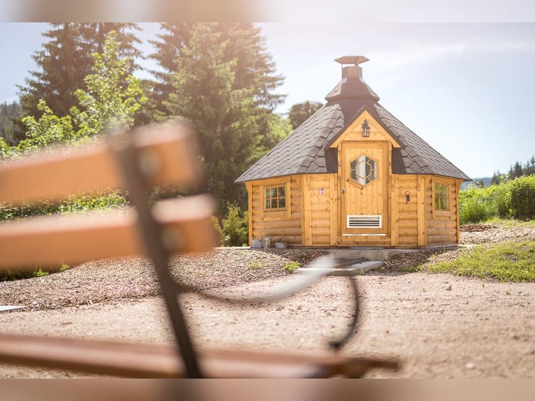 Historisches Villenanwesen im Erzgebirge – Absolute Alleinlage in traumhafter Natur!