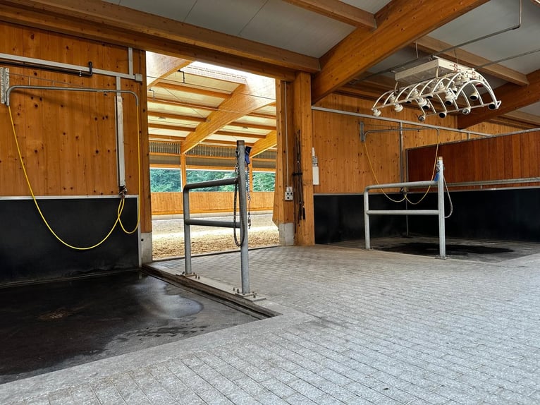Hochwertige Reitsportimmobilie für den professionellen  Bereich