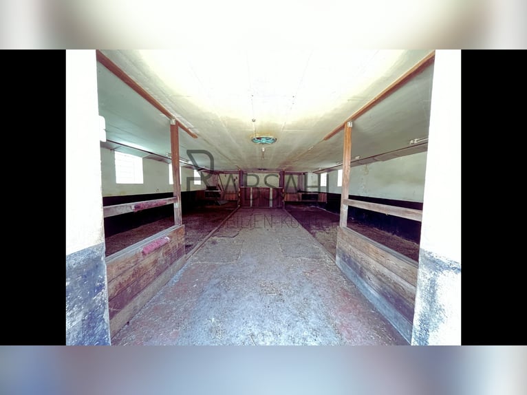 Hofensemble mit ausgebauter Tenne und 1,6ha Land direkt am Haus! Genehmigte Pferdehaltung!