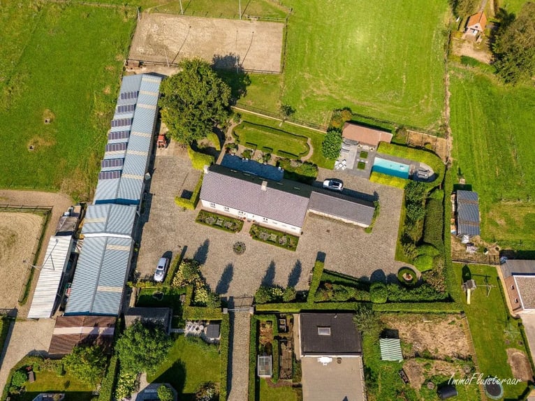 Hoogwaardig afgewerkte villa met stalgebouw en aanpalende weides op ca. 1,7 ha te Herenthout