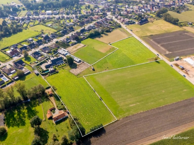 Hoogwaardig afgewerkte villa met stalgebouw en aanpalende weides op ca. 1,7 ha te Herenthout