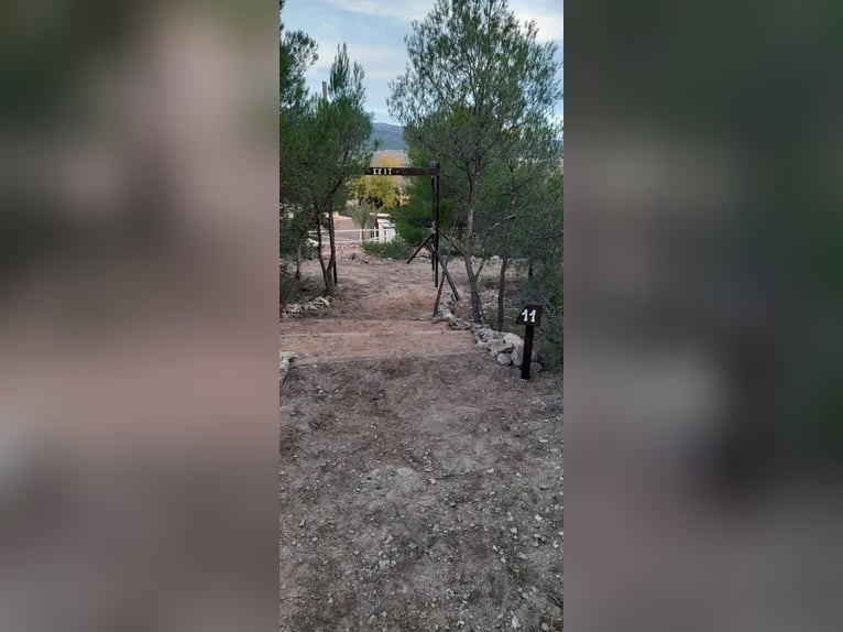 IDYLLISCHE WESTERNRANCH MIT TOURISMUS LIZENS AN DER COSTA BLANCA