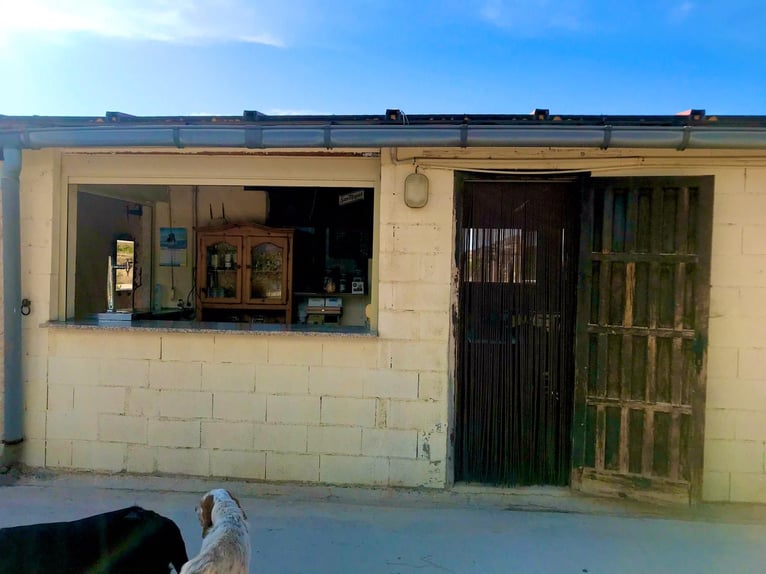 Installations équestres dans la célèbre région du domaine de Matarranya