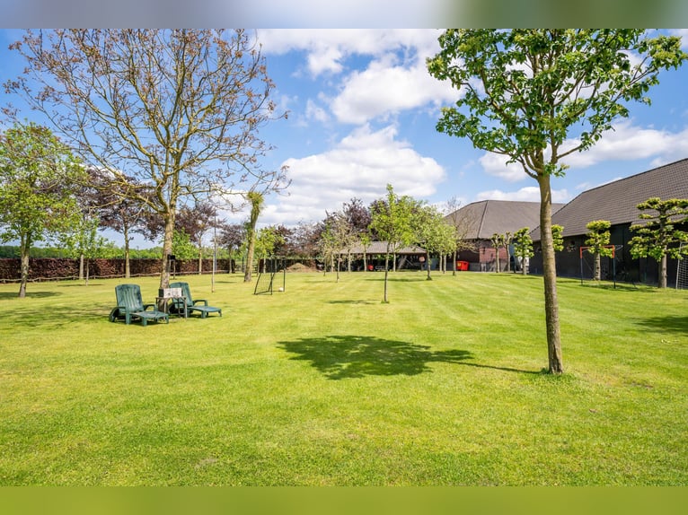 Kapelstraat 12 - 14 Leende Beautiful, complete equestrian accommodation 