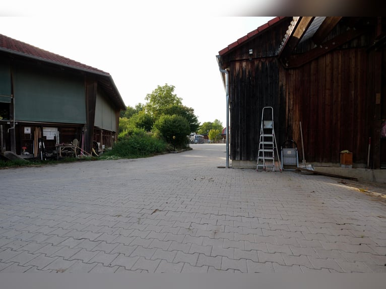 kleine Reitanlage mit neuem Energiesparhaus