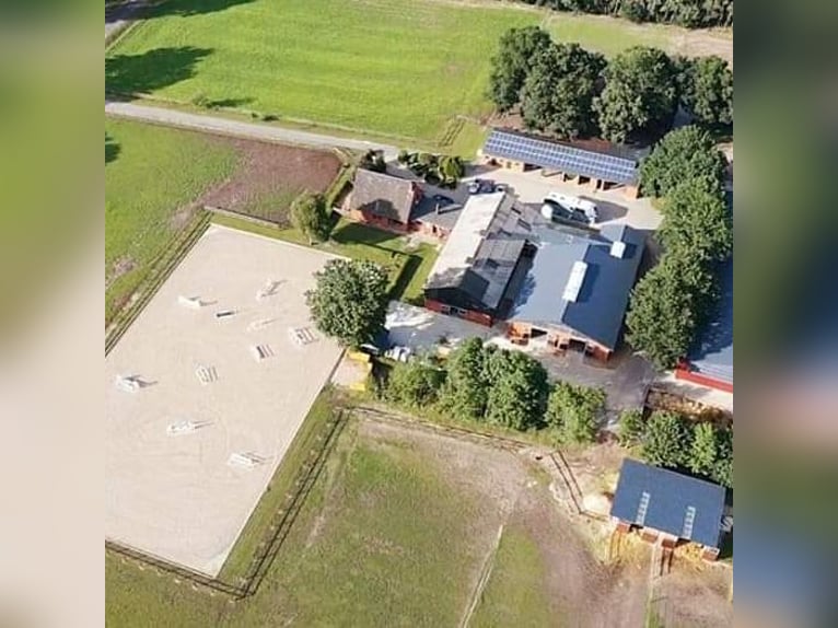 Kompletter Stalltrakt 8 Pferdeboxen zu verpachten 