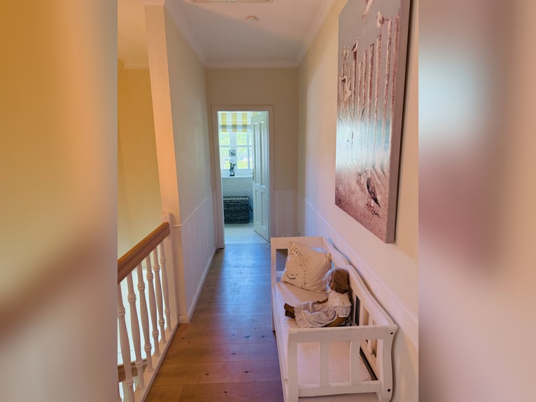 Landhaus für Pferdeliebhaber mit traumhaftem Blick