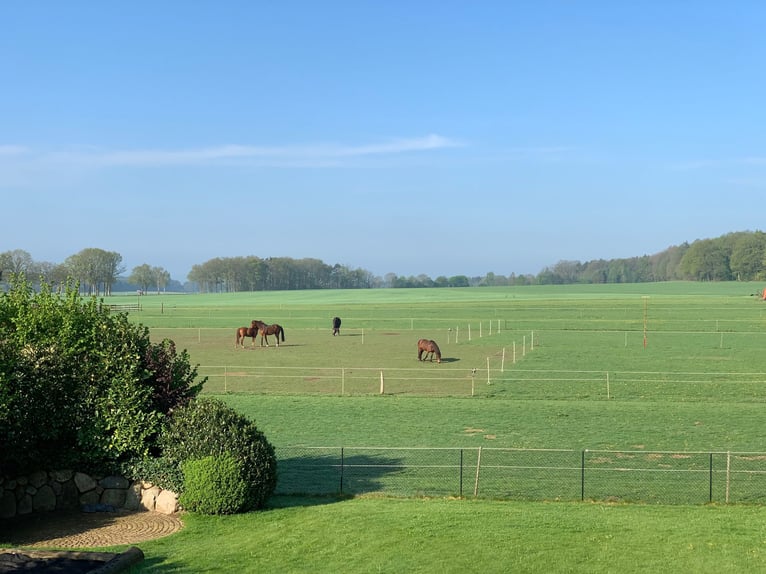 Landhaus für Pferdeliebhaber mit traumhaftem Blick