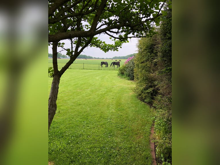 Landhaus für Pferdeliebhaber mit traumhaftem Blick