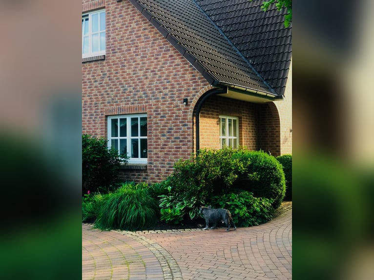 Landhaus für Pferdeliebhaber mit traumhaftem Blick