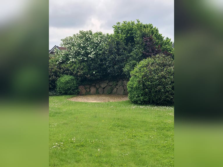 Landhaus für Pferdeliebhaber mit traumhaftem Blick