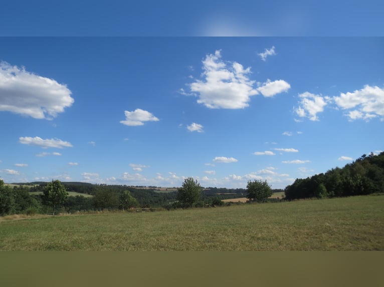Le bonheur a une maison : propriété soignée avec appartement de vacances, en périphérie de Plauen / 