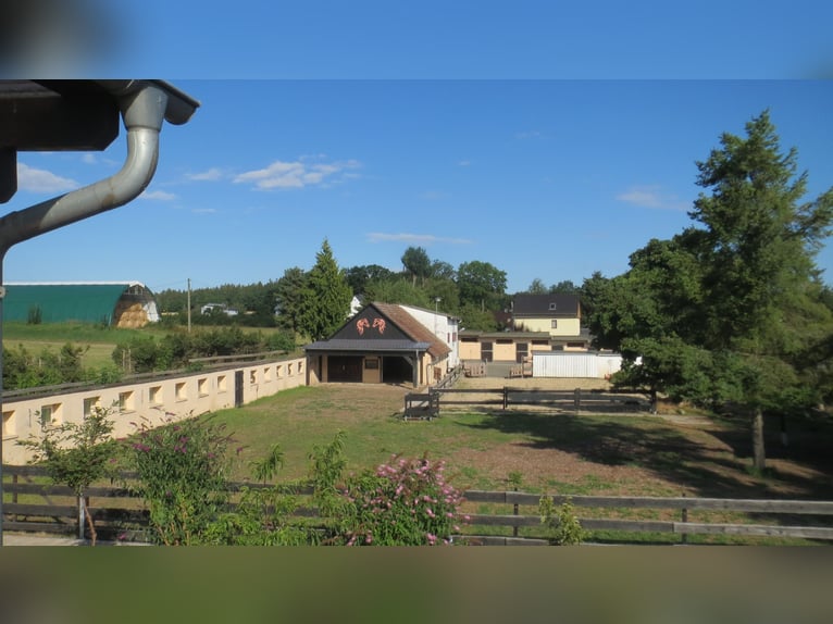 Le bonheur a une maison : propriété soignée avec appartement de vacances, en périphérie de Plauen / 