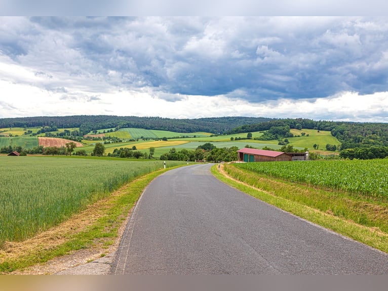 Le Büdenhof – là où le charme historique rencontre des visions modernes