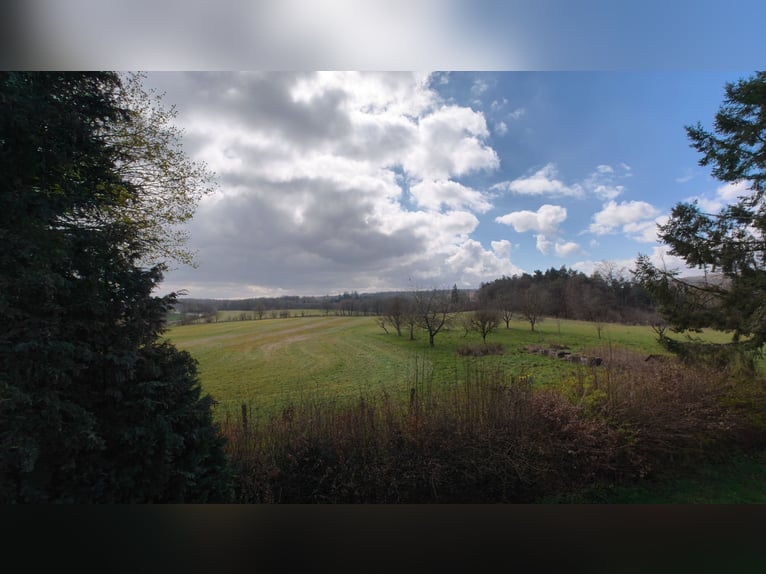 Liberté sur 17 hectares : grande propriété isolée avec manège, piscine et réserve d'extension