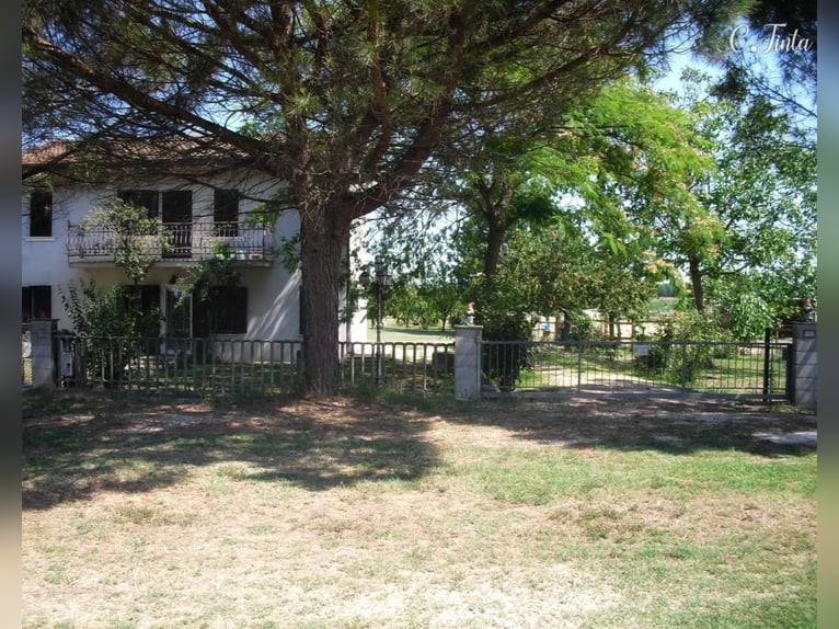 Lovely Equestrian property in Italy  