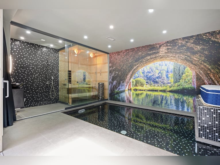 Luxe, nature et passion équestre. Bienvenue à Gut Wammen !