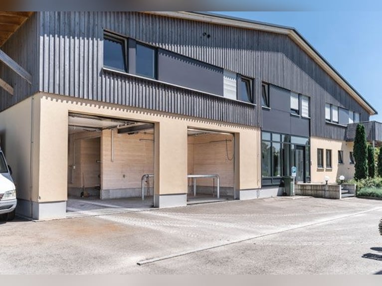 **Luxuriöses Pferdeanwesen in bester Lage** - Schweiz