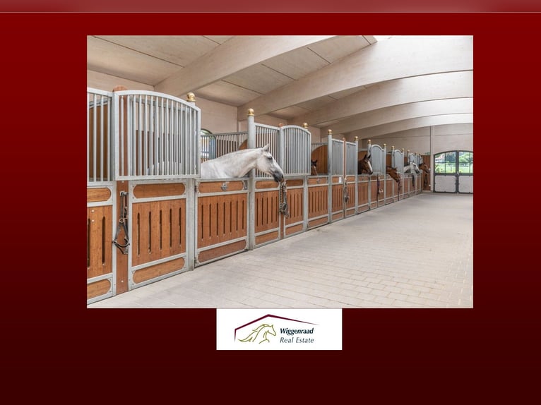 **Luxuriöses Pferdeanwesen in bester Lage** - Schweiz