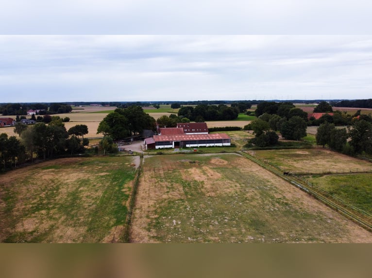 Magnifique élevage équestre d'environ 7,5 hectares, doté d'une carrière indoor, d'un manège d'entraî
