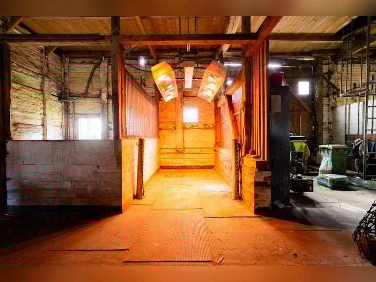 Magnifique élevage équestre d'environ 7,5 hectares, doté d'une carrière indoor, d'un manège d'entraî