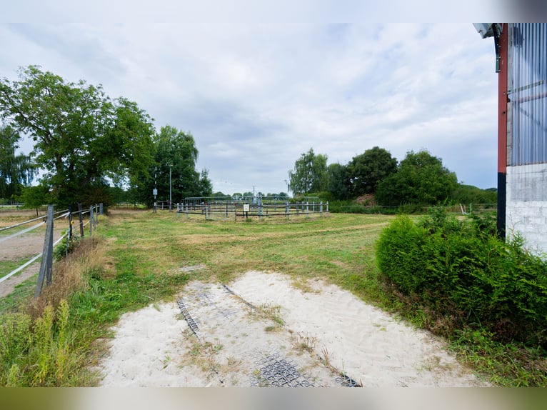 Magnifique élevage équestre d'environ 7,5 hectares, doté d'une carrière indoor, d'un manège d'entraî