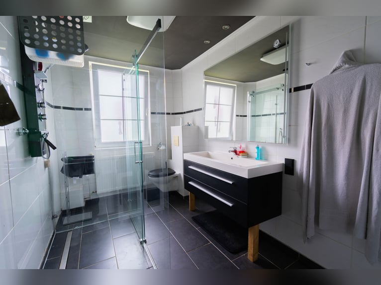 Magnifique élevage équestre d'environ 7,5 hectares, doté d'une carrière indoor, d'un manège d'entraî