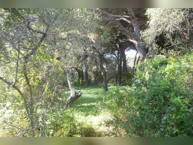 Magnifique finca au cœur d'une nature magnifique