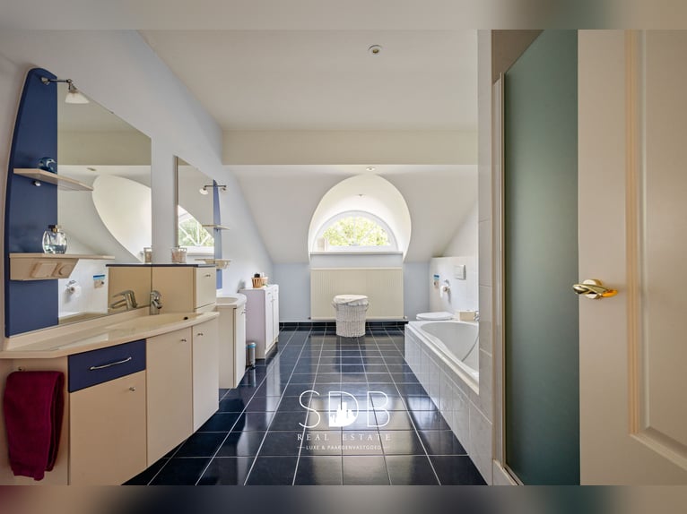 Magnifique manoir avec installations équestres sur 15 804 m² à Haasdonk