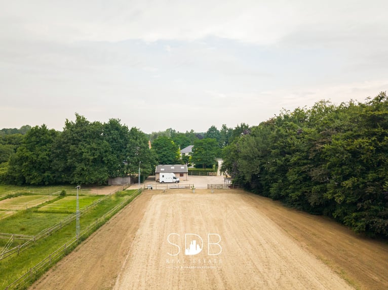 Magnifique manoir avec installations équestres sur 15 804 m² à Haasdonk