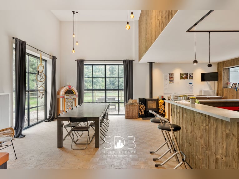 Magnifique propriété avec installations équestres et prairies sur environ 23 hectares – 9800 DEINZE