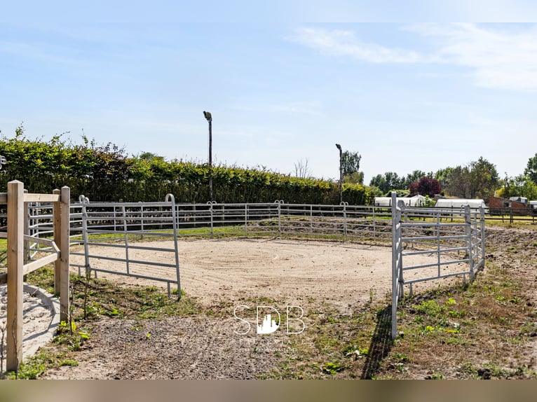 Magnifique propriété rurale avec installations équestres sur 2,59 hectares à Anvers | Belgique