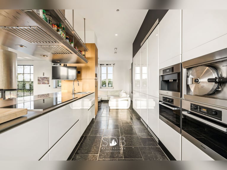 Magnifique villa de style Hoevestijl avec dépendances et pâturages sur 89 070 m² – 2811 Leest