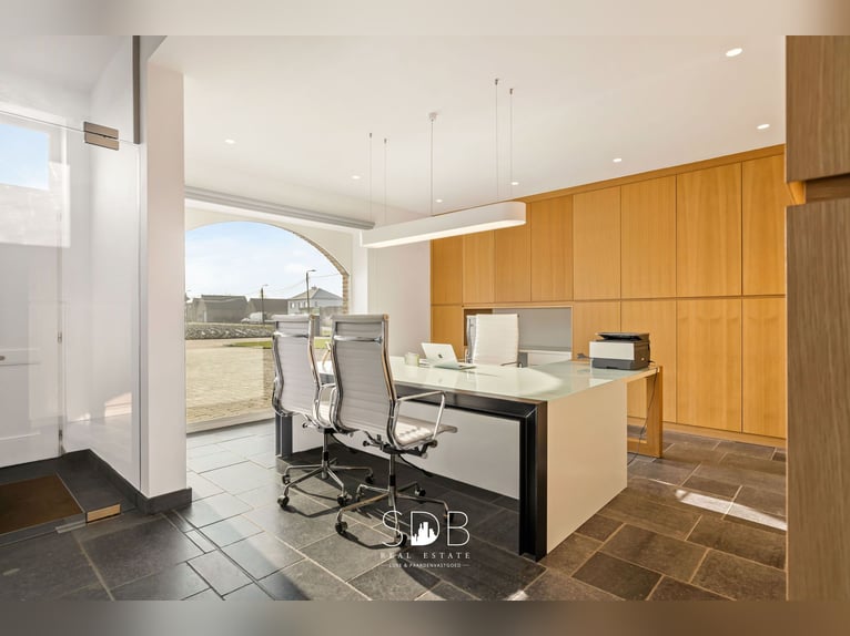 Magnifique villa de style Hoevestijl avec dépendances et pâturages sur 89 070 m² – 2811 Leest