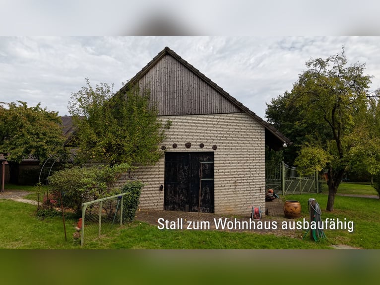 Maison d’habitation avec écurie et pâturages à Hamminkeln-Brünen