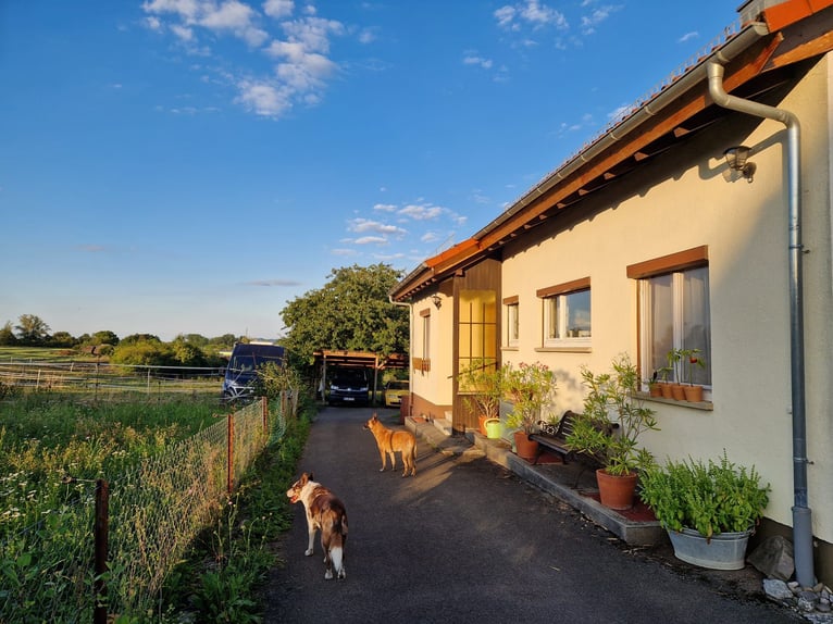 Maison d'habitation avec petit box en plein air