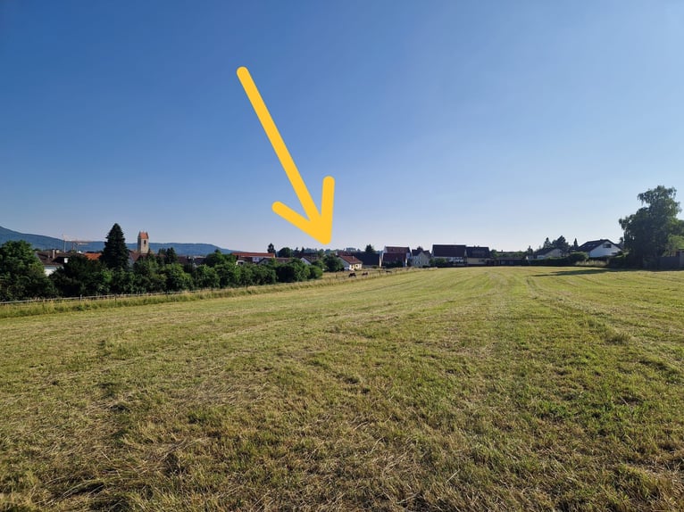 Maison d'habitation avec petit box en plein air