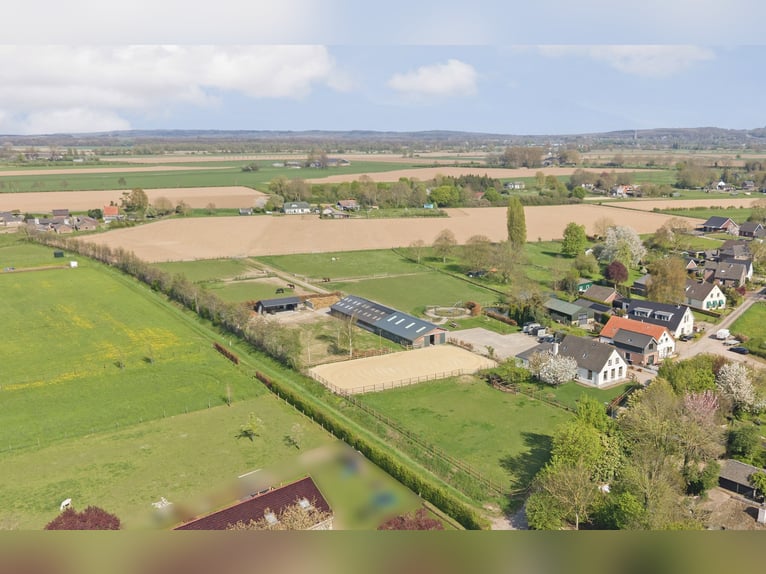 Maison individuelle avec un espace de vie spacieux et une installation équestre de haute qualité ent