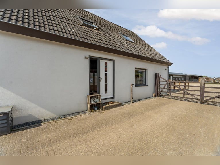 Maison individuelle avec un espace de vie spacieux et une installation équestre de haute qualité ent