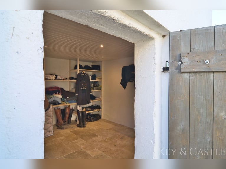 Maison individuelle entièrement rénovée avec élevage de chevaux à Oberkrämer