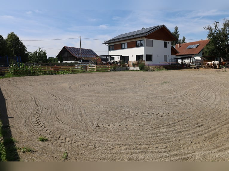 Maison individuelle neu-build avec 2,5 unités d'habitation *élevage de chevaux* 1 786 m² *sans commi