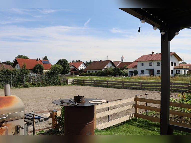 Maison individuelle neu-build avec 2,5 unités d'habitation *élevage de chevaux* 1 786 m² *sans commi