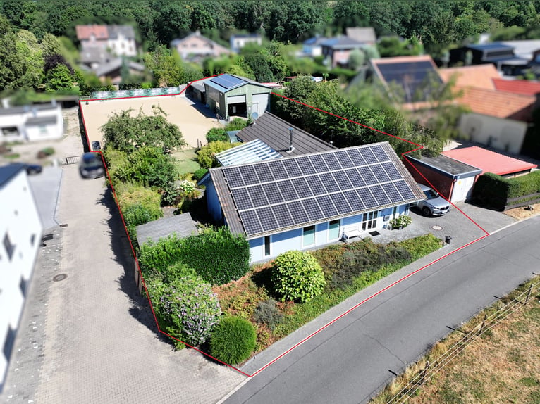 Maison moderne avec petit centre équestre à Wassenberg