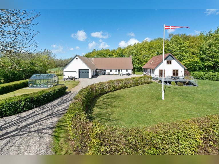 Maison rénovée avec 6 boxes pour chevaux, manège, paddocks avec clôture en bois (8 hectares de terra