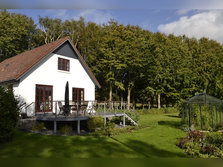 Maison rénovée avec 6 boxes pour chevaux, manège, paddocks avec clôture en bois (8 hectares de terra